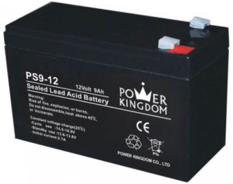 Baterie Power Kingdom PS curent mare 12V/9,0Ah