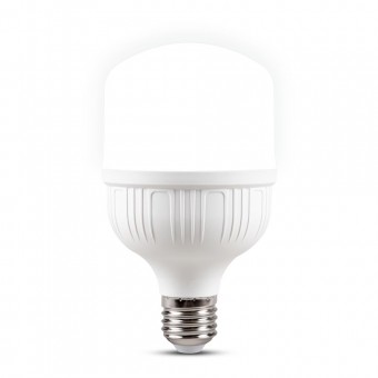 Bec LED 30W E27 6500K