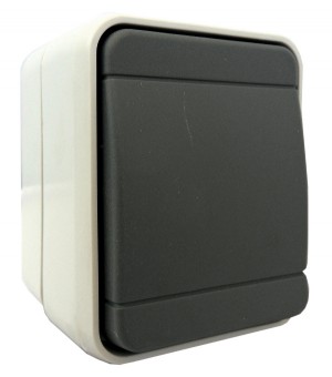 Buton cu revenire IP44, gri/gri