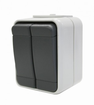 Buton dublu cu revenire IP44, gri/gri