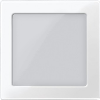 Central plate with window for LED signal inserts