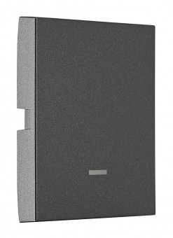 Clapeta simpla cu fereastra de control transp., an