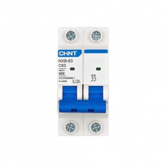 Intrerupator automat 25A 2P 6KA C25, Chint