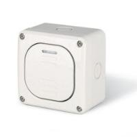 Intrerupator cap Cruce 1P 10A IP66, 137.5111