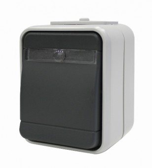 Intrerupator simplu cu bec IP44, gri/gri
