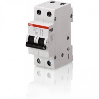 NTR AUTO 20A-2P C 4.5KA SH202-L