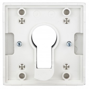 Placa frontala pentru intrerupator cu cheie, argintiu
