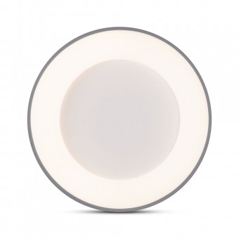 Plafoniera Lind LED 32W 4000K 38cm IP20, gri, Erste