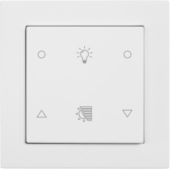 Pushbutton 2-gang, Roomthermostat, light-/shutter Icons, wh