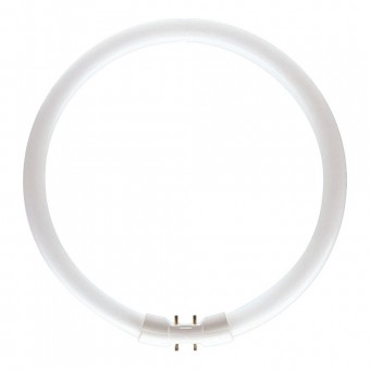Tub Fluorescent Circular TL5 22W