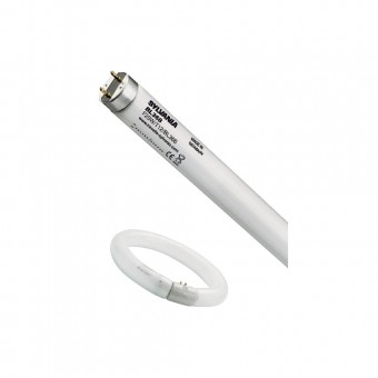 Tub Fluorescent Insecte T8 15W