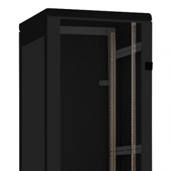 Usa de sticla ngr pt. DS/DST/DSS(IP20) 42U, 800mm