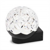 Aplica exterior A3 10W 1150lm 6500K IP44, Homelight