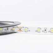 Banda LED 5x60 4.8W/m 6400K IP20 5m/Rola