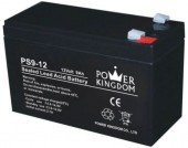Baterie Power Kingdom PS curent mare 12V/9,0Ah