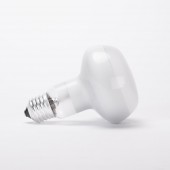 Bec Halogen Spot R80 42W E27 2900K Clar