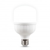 Bec LED 20W E27 6500K