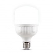 Bec LED 30W E27 6500K