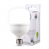 Bec LED 30W E27 6500K