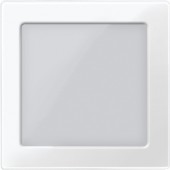 Central plate with window for LED signal inserts