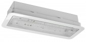 Corp de iluminat de securitate SECURO 24 CON C1 HP-LED 24VDC