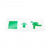 Display SUS pentru Corp VERSO 2 - NOVELITE