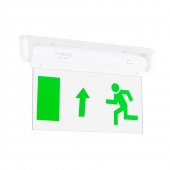 Display SUS pentru Corp VERSO 2 - NOVELITE