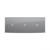 Functie speciala aparataj 10W gri Pulsar Touch NS - PULSAR