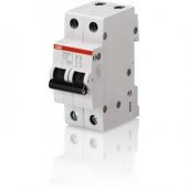 INTR AUTO 25A 2P-C 4.5KA-SH202-L