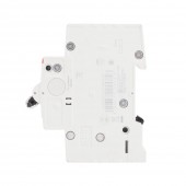 Intrerupator Automat 63A 2P C 4.5Ka SH202-L