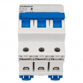 Intreruptor automat AMPARO 10kA, C 10A, 3 poli