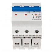 Intreruptor automat AMPARO 10kA, C 13A, 3 poli