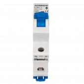 Intreruptor automat AMPARO 10kA, C 50A, 1 pol