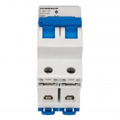 Intreruptor automat AMPARO 10kA, C 50A, 2 poli