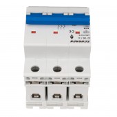 Intreruptor automat modular (MCB) AMPARO 10kA, D 16A, 3 poli