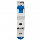 Intreruptor automat modular (MCB) AMPARO 10kA, D 2A, 1 pol