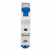 Intreruptor automat modular (MCB) AMPARO 10kA, D 40A, 1 pol