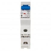 Intreruptor automat modular (MCB) AMPARO 10kA, D 50A, 1 pol