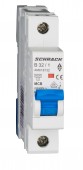 Intreruptor automat modular (MCB) AMPARO 6kA, B 32A, 1-pol