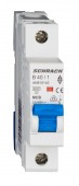 Intreruptor automat modular (MCB) AMPARO 6kA, B 40A, 1-pol