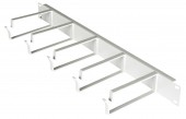Organizator 19