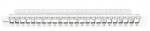 Patchpanel 19 24 porturi(SFA)(SFB) goale,1UH,RAL7035,scurt