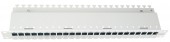 Patchpanel gol 19 pt. 24 module(SFA)(SFB),loc pt. Etichete