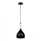 Pendul Player 1XE27 IP20, negru, Erste