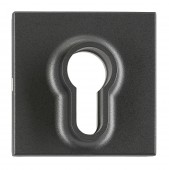 Placa frontala pentru intrerupator cu cheie, antracit
