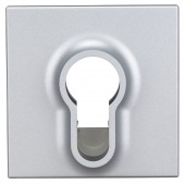 Placa frontala pentru intrerupator cu cheie, argintiu