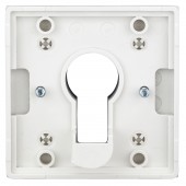 Placa frontala pentru intrerupator cu cheie, argintiu