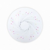 Plafoniera Gwen 24LED 12W 6500K