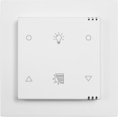 Pushbutton 2-gang, room climate sensor CO2 with Icons, wh