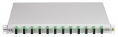 Splicebox, 4 Fibre, SC/APC, 9/125µm OS2, 19, 1U,Class C